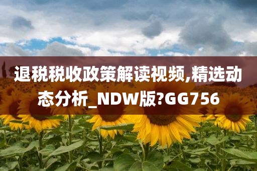 退税税收政策解读视频,精选动态分析_NDW版?GG756