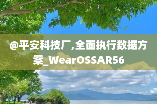 @平安科技厂,全面执行数据方案_WearOSSAR56
