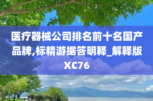 医疗器械公司排名前十名国产品牌,标精游据答明释_解释版XC76