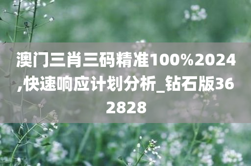 澳门三肖三码精准100%2024,快速响应计划分析_钻石版362828