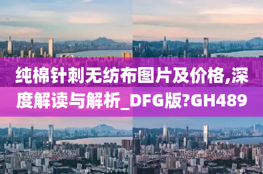 纯棉针刺无纺布图片及价格,深度解读与解析_DFG版?GH489