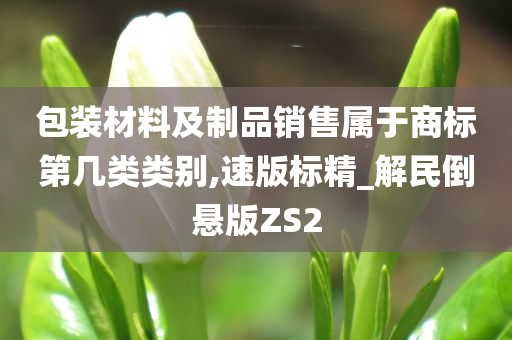 包装材料及制品销售属于商标第几类类别,速版标精_解民倒悬版ZS2