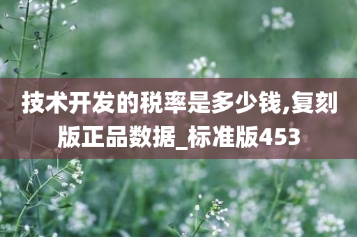 技术开发的税率是多少钱,复刻版正品数据_标准版453