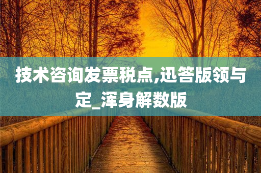 技术咨询发票税点,迅答版领与定_浑身解数版