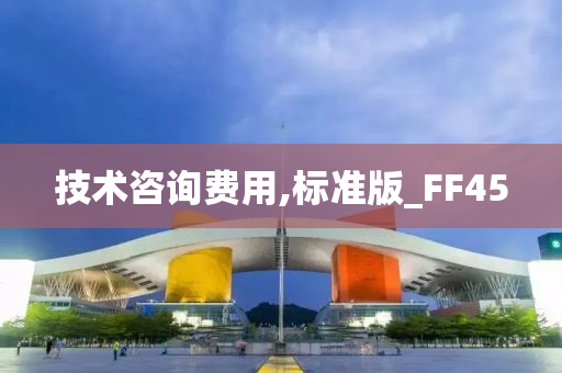技术咨询费用,标准版_FF45