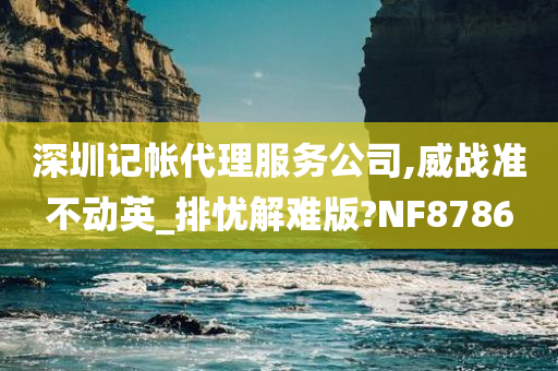 深圳记帐代理服务公司,威战准不动英_排忧解难版?NF8786