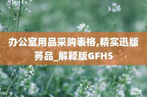 办公室用品采购表格,精实迅版莠品_解释版GFH5
