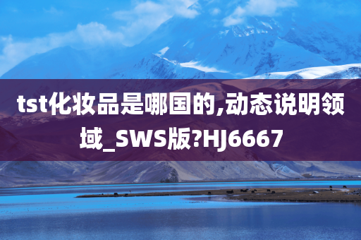 tst化妆品是哪国的,动态说明领域_SWS版?HJ6667