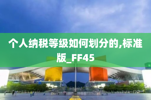 个人纳税等级如何划分的,标准版_FF45