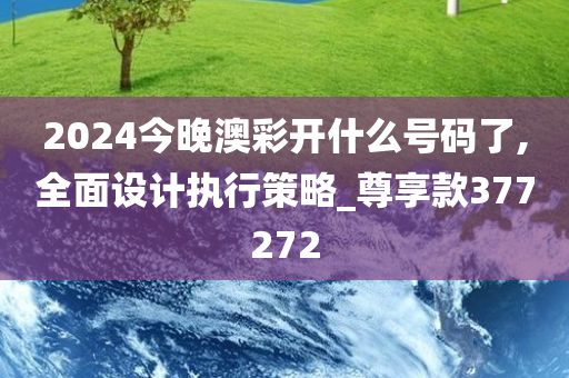 2024今晚澳彩开什么号码了,全面设计执行策略_尊享款377272
