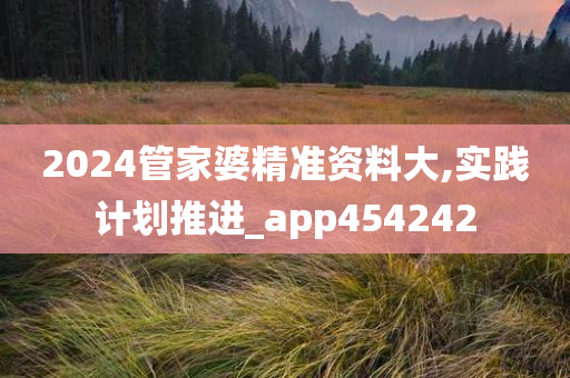 2024管家婆精准资料大,实践计划推进_app454242