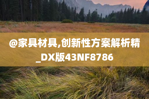 @家具材具,创新性方案解析精_DX版43NF8786