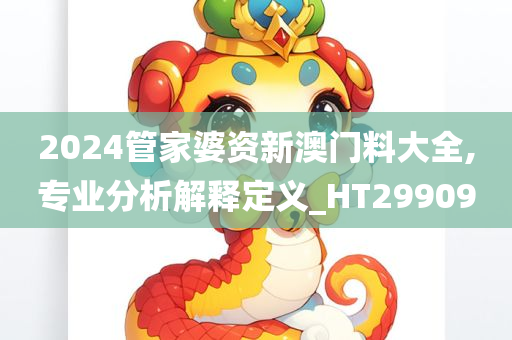 2024管家婆资新澳门料大全,专业分析解释定义_HT299090