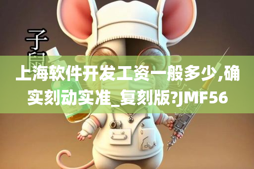 上海软件开发工资一般多少,确实刻动实准_复刻版?JMF56