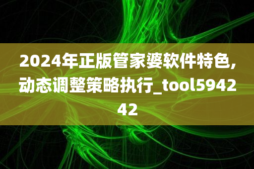 2024年正版管家婆软件特色,动态调整策略执行_tool594242