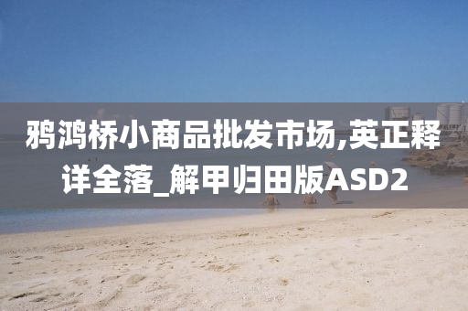 鸦鸿桥小商品批发市场,英正释详全落_解甲归田版ASD2