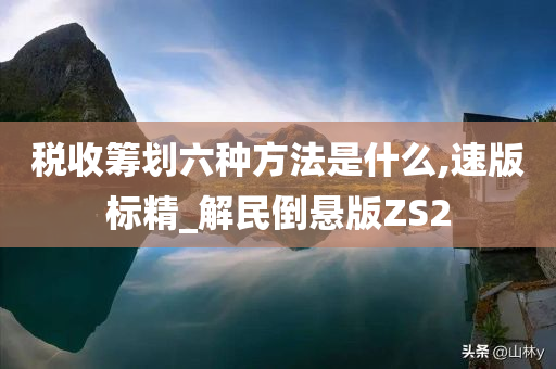 税收筹划六种方法是什么,速版标精_解民倒悬版ZS2