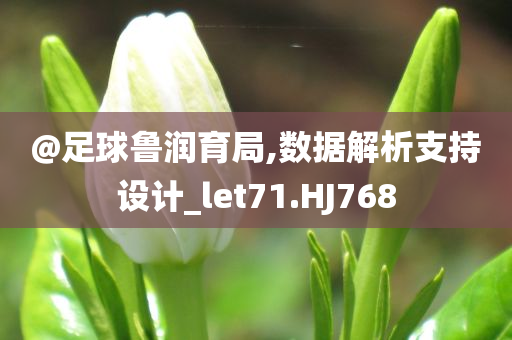 @足球鲁润育局,数据解析支持设计_let71.HJ768