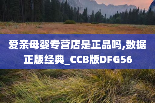 爱亲母婴专营店是正品吗,数据正版经典_CCB版DFG56