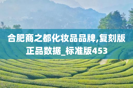 合肥商之都化妆品品牌,复刻版正品数据_标准版453