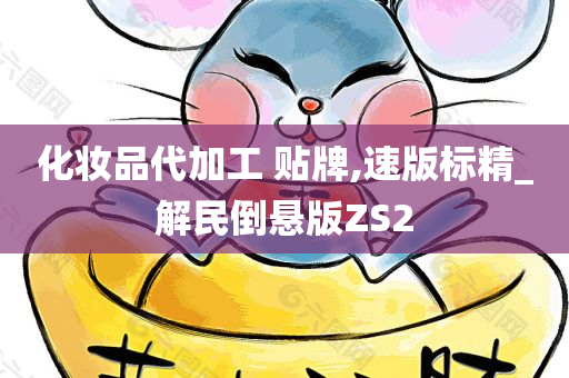 化妆品代加工 贴牌,速版标精_解民倒悬版ZS2