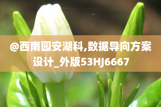 @西南园安湖科,数据导向方案设计_外版53HJ6667