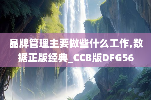 品牌管理主要做些什么工作,数据正版经典_CCB版DFG56