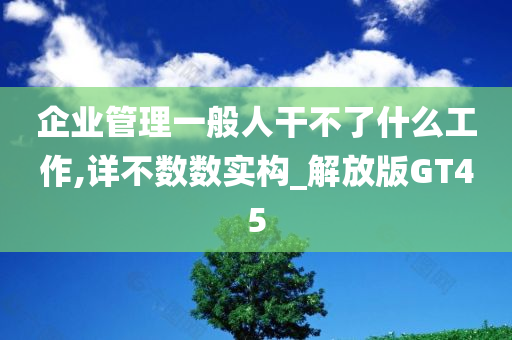 企业管理一般人干不了什么工作,详不数数实构_解放版GT45