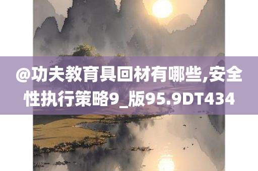 @功夫教育具回材有哪些,安全性执行策略9_版95.9DT434