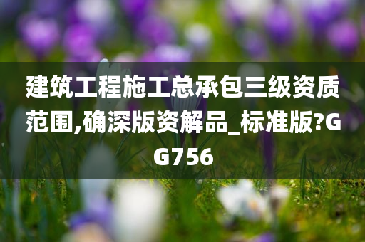 建筑工程施工总承包三级资质范围,确深版资解品_标准版?GG756
