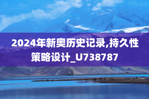 2024年新奥历史记录,持久性策略设计_U738787