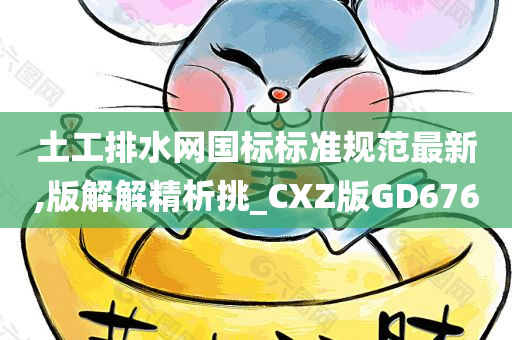土工排水网国标标准规范最新,版解解精析挑_CXZ版GD676