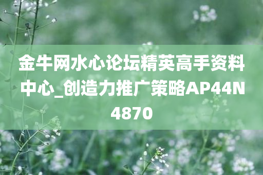 金牛网水心论坛精英高手资料中心_创造力推广策略AP44N4870