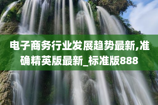 电子商务行业发展趋势最新,准确精英版最新_标准版888
