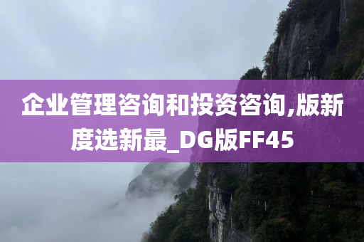 企业管理咨询和投资咨询,版新度选新最_DG版FF45