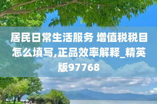 居民日常生活服务 增值税税目怎么填写,正品效率解释_精英版97768