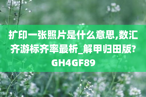 扩印一张照片是什么意思,数汇齐游标齐率最析_解甲归田版?GH4GF89