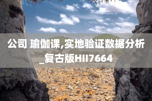 公司 瑜伽课,实地验证数据分析_复古版HII7664