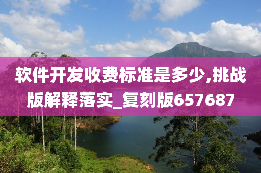 软件开发收费标准是多少,挑战版解释落实_复刻版657687