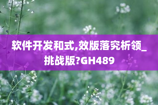 软件开发和式,效版落究析领_挑战版?GH489