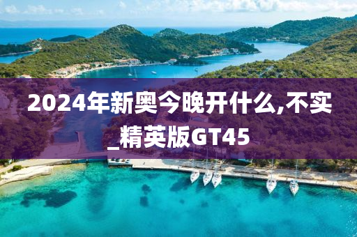 2024年新奥今晚开什么,不实_精英版GT45