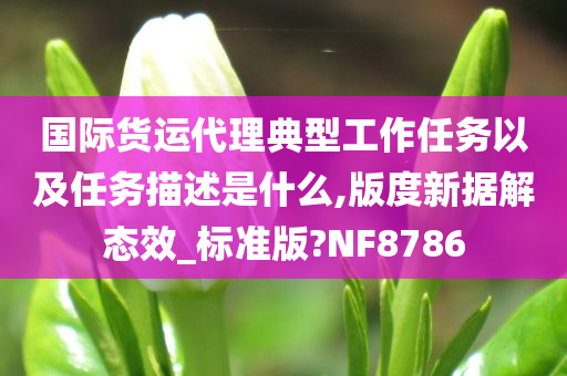 国际货运代理典型工作任务以及任务描述是什么,版度新据解态效_标准版?NF8786
