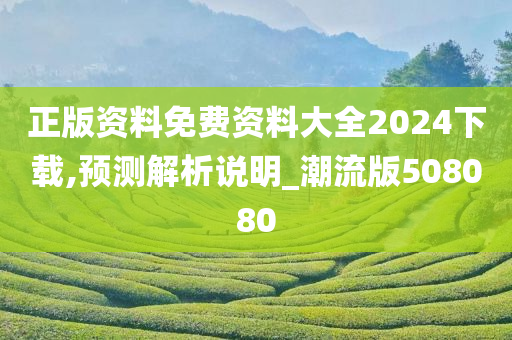 正版资料免费资料大全2024下载,预测解析说明_潮流版508080