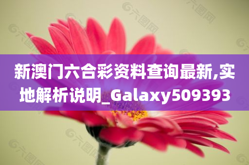 新澳门六合彩资料查询最新,实地解析说明_Galaxy509393