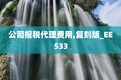 公司报税代理费用,复刻版_EE533