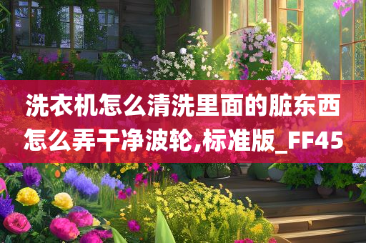洗衣机怎么清洗里面的脏东西怎么弄干净波轮,标准版_FF45