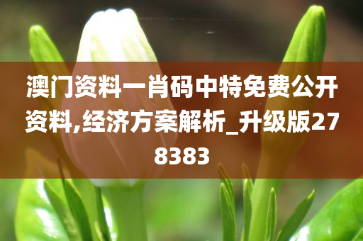 澳门资料一肖码中特免费公开资料,经济方案解析_升级版278383