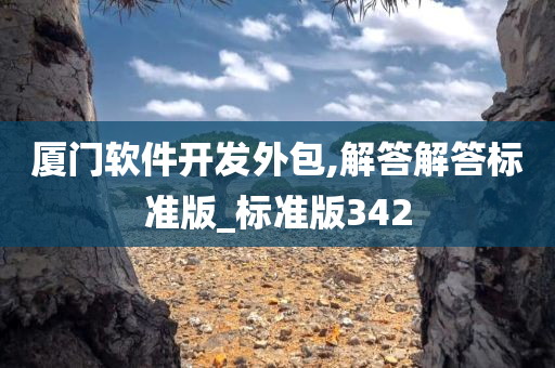 厦门软件开发外包,解答解答标准版_标准版342
