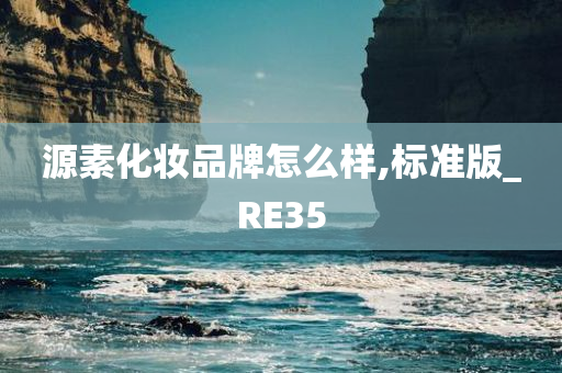 源素化妆品牌怎么样,标准版_RE35