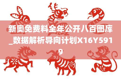 新奥免费料全年公开八百图库_数据解析导向计划X16Y5919